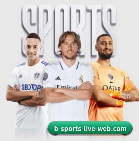 五大服务分区,信息按项目分类 - bsport
