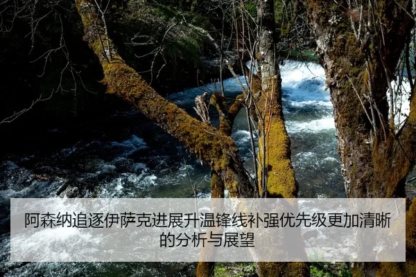 阿森纳追逐伊萨克进展升温锋线补强优先级更加清晰的分析与展望
