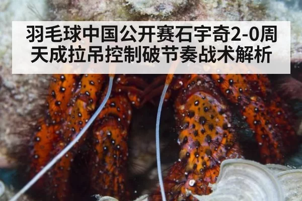 羽毛球中国公开赛石宇奇2-0周天成拉吊控制破节奏战术解析