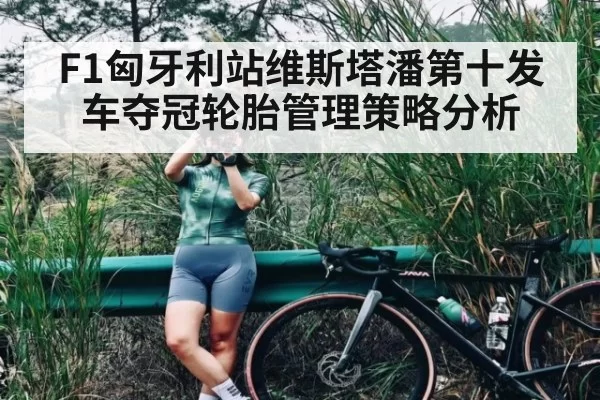 F1匈牙利站维斯塔潘第十发车夺冠轮胎管理策略分析